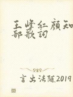 王峰红颜知己全部歌词