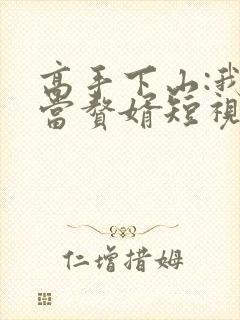 高手下山:我不当赘婿短视频