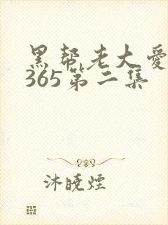 黑帮老大爱上我365第二集