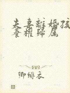 夫妻离婚孩子抚养权归属