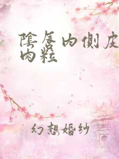 阴唇内侧皮肤小肉粒