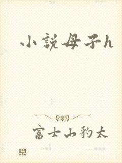 小说母子h