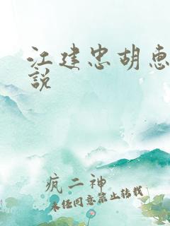 江建忠胡惠美小说