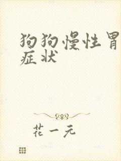 狗狗慢性胃炎的症状