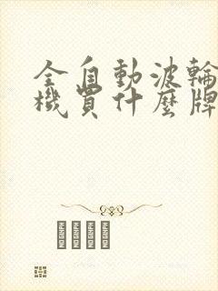 全自动波轮洗衣机买什么牌子的好