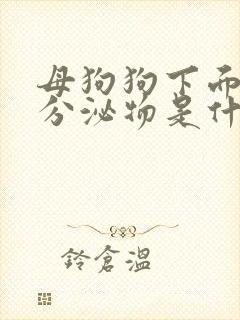 母狗狗下面黄色分泌物是什么原因