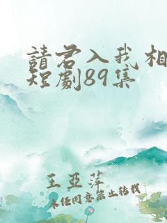 请君入我相思局短剧89集