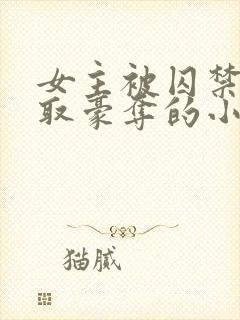 女主被囚禁被强取豪夺的小说