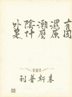 外阴潮湿有点痒是什么原因怎么办