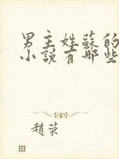 男主姓苏的穿越小说有哪些