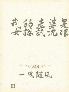 我的老婆是冰山女总裁沈浪