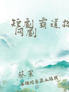 短剧 霸道总裁 网剧