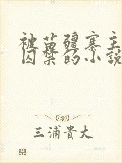 被苗疆寨主抓住囚禁的小说