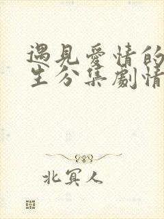 遇见爱情的利先生分集剧情