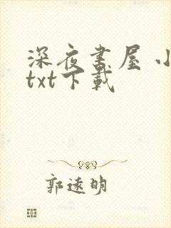 深夜书屋 小说txt下载