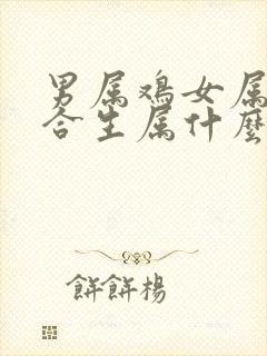 男属鸡女属鼠适合生属什么的孩子