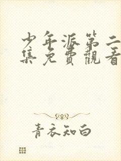 少年派第二部全集免费观看电视剧