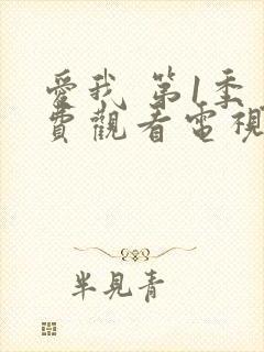 爱我 第1季免费观看电视剧全集