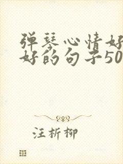 弹琴心情好与不好的句子50字