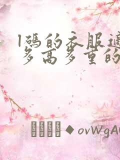 l码的衣服适合多高多重的人穿