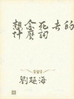 想念死去的人用什么词