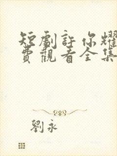 短剧许你耀眼免费观看全集