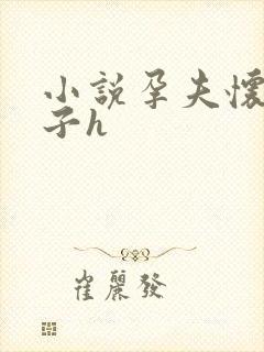 小说孕夫怀孕产子h