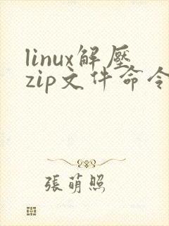 linux解压zip文件命令