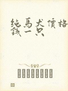 纯马犬价格多少钱一只