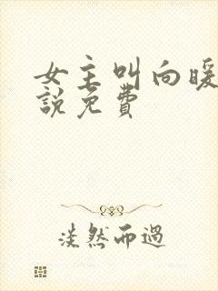 女主叫向暖的小说免费