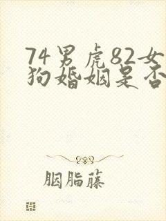 74男虎82女狗婚姻是否相配