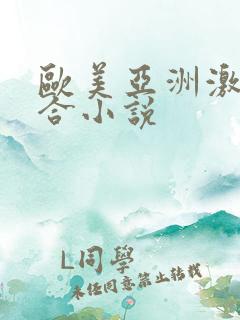 欧美亚洲激情综合小说