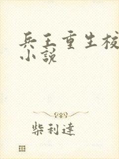 兵王重生校园的小说