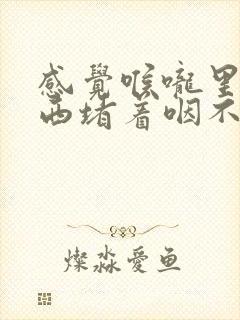 感觉喉咙里有东西堵着咽不下去怎么办