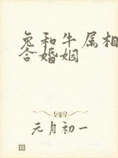 兔和牛属相合不合婚姻