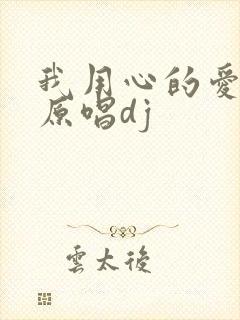 我用心的爱着你原唱dj