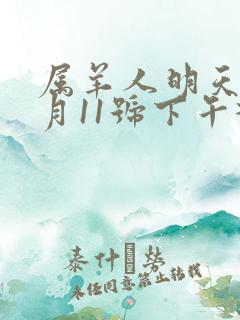 属羊人明天11月11号下午打牌方位