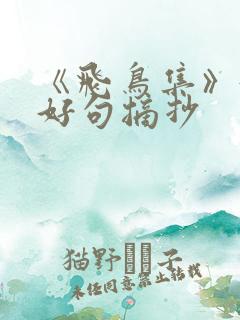 《飞鸟集》好词好句摘抄