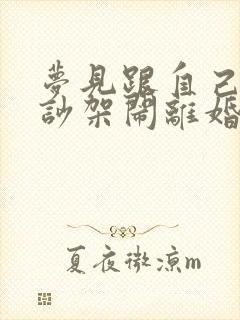 梦见跟自己老公吵架闹离婚