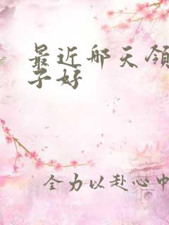 最近哪天领证日子好