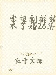 电视剧谁说我结不了婚26集