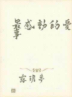 最感动的爱情故事