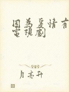 因为爰情有幸福电视剧