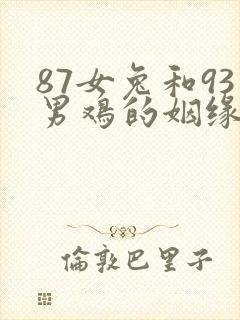 87女兔和93男鸡的姻缘