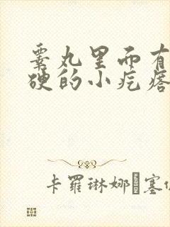 睾丸里面有个硬硬的小疙瘩一碰就疼