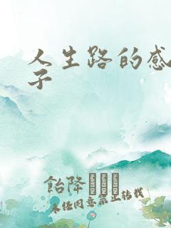 人生路的感悟句子