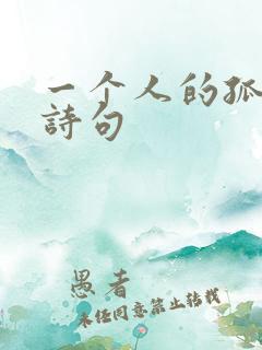 一个人的孤独的诗句