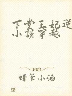 下堂王妃逆袭记小说穿越