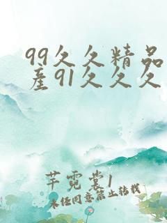 99久久精品国产91久久久