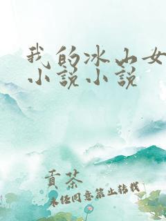 我的冰山女总裁小说小说